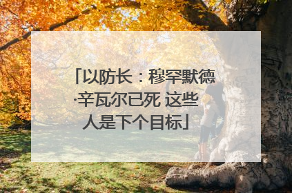 以防长：穆罕默德·辛瓦尔已死 这些人是下个目标
