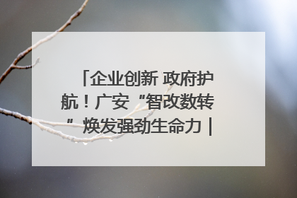 企业创新 政府护航！广安“智改数转”焕发强劲生命力｜市州焕新力