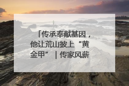 传承奉献基因，他让荒山披上“黄金甲”｜传家风薪火 颂家国情深