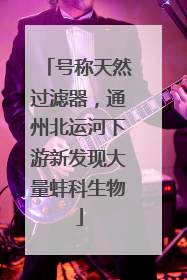 号称天然过滤器，通州北运河下游新发现大量蚌科生物
