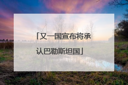 又一国宣布将承认巴勒斯坦国