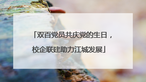 双百党员共庆党的生日，校企联建助力江城发展