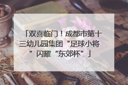 双喜临门！成都市第十三幼儿园集团“足球小将”闪耀“东郊杯”
