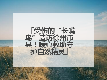受伤的“长嘴鸟”造访徐州沛县！暖心救助守护自然精灵