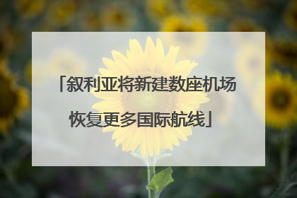 叙利亚将新建数座机场 恢复更多国际航线