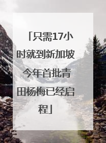 只需17小时就到新加坡 今年首批青田杨梅已经启程