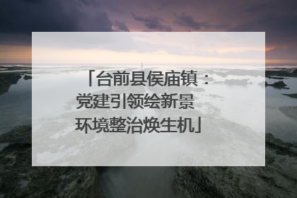 台前县侯庙镇：党建引领绘新景 环境整治焕生机