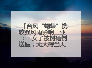 台风“蝴蝶”携较强风雨影响三亚：一女子被树砸倒送医，无大碍当天回家 当地已紧急清障