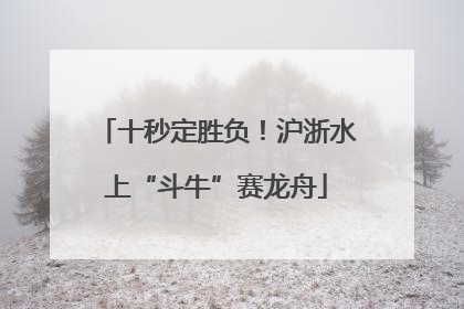 十秒定胜负！沪浙水上“斗牛”赛龙舟