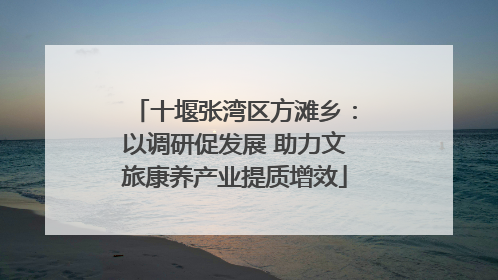 十堰张湾区方滩乡：以调研促发展 助力文旅康养产业提质增效
