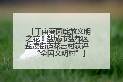 千亩葵园绽放文明之花！盐城市盐都区盐渎街道花吉村获评“全国文明村”