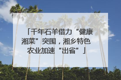 千年石羊借力“健康湘菜”突围，湘乡特色农业加速“出省”