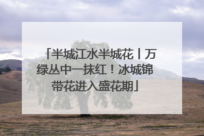 半城江水半城花丨万绿丛中一抹红！冰城锦带花进入盛花期