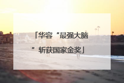 华容“最强大脑”斩获国家金奖