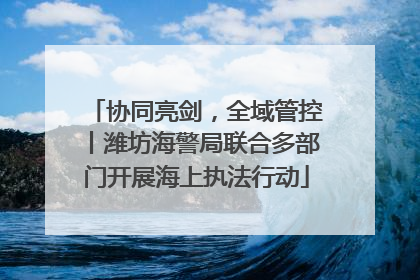 协同亮剑，全域管控丨潍坊海警局联合多部门开展海上执法行动
