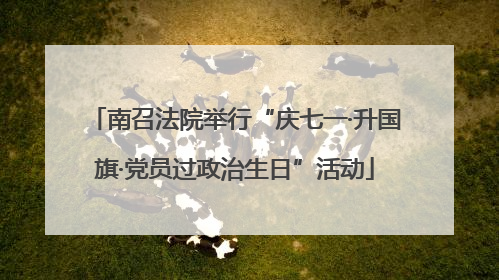 南召法院举行“庆七一·升国旗·党员过政治生日”活动