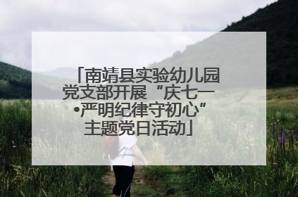 南靖县实验幼儿园党支部开展“庆七一•严明纪律守初心”主题党日活动