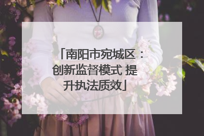 南阳市宛城区：创新监督模式 提升执法质效