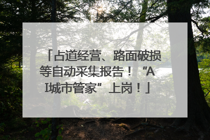 占道经营、路面破损等自动采集报告！“AI城市管家”上岗！