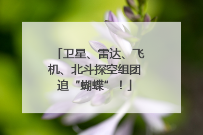 卫星、雷达、飞机、北斗探空组团追“蝴蝶”！