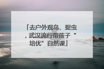 去户外观鸟、捉虫，武汉流行带孩子“培优”自然课