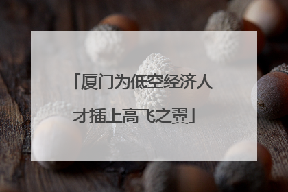 厦门为低空经济人才插上高飞之翼