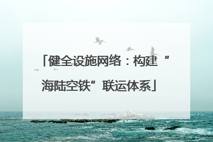 健全设施网络：构建“海陆空铁”联运体系