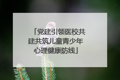 党建引领医校共建共筑儿童青少年心理健康防线