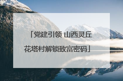 党建引领 山西灵丘花塔村解锁致富密码