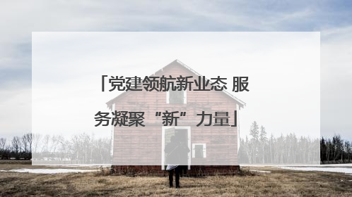 党建领航新业态 服务凝聚“新”力量