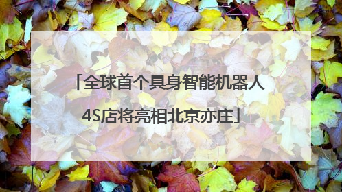 全球首个具身智能机器人4S店将亮相北京亦庄