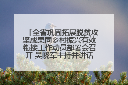 全省巩固拓展脱贫攻坚成果同乡村振兴有效衔接工作动员部署会召开 吴晓军主持并讲话 罗东川作安排部署