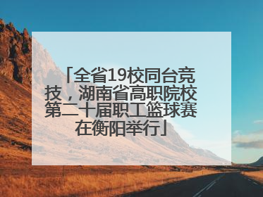 全省19校同台竞技，湖南省高职院校第二十届职工篮球赛在衡阳举行