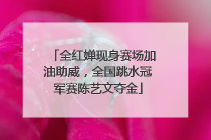 全红婵现身赛场加油助威，全国跳水冠军赛陈艺文夺金