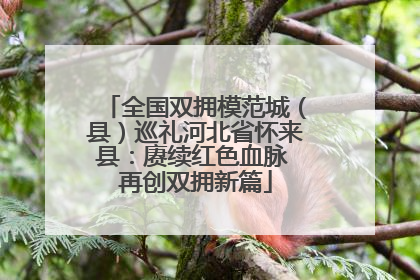 全国双拥模范城（县）巡礼河北省怀来县：赓续红色血脉 再创双拥新篇