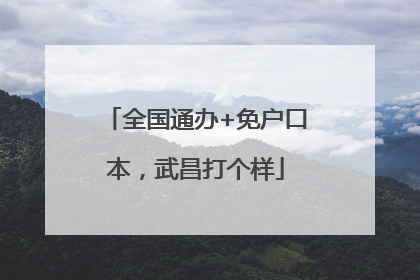 全国通办+免户口本，武昌打个样