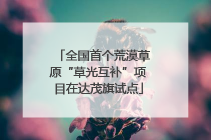 全国首个荒漠草原“草光互补”项目在达茂旗试点