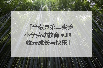 全椒县第二实验小学劳动教育基地收获成长与快乐