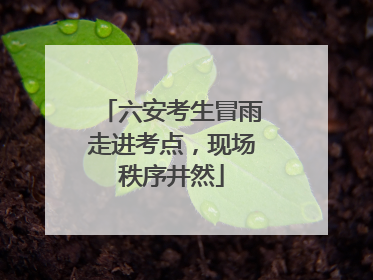 六安考生冒雨走进考点，现场秩序井然