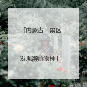 内蒙古一景区发现濒危物种
