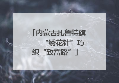 内蒙古扎鲁特旗——“绣花针”巧织“致富路”