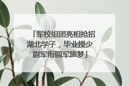 军校组团亮相抢招湖北学子，毕业授少尉军衔圆军旅梦