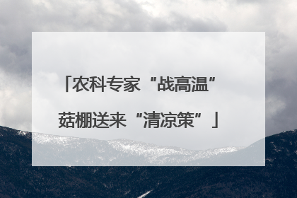 农科专家“战高温” 菇棚送来“清凉策”
