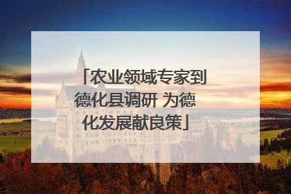 农业领域专家到德化县调研 为德化发展献良策