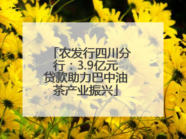 农发行四川分行：3.9亿元贷款助力巴中油茶产业振兴