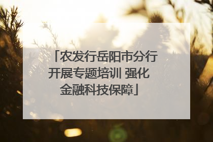 农发行岳阳市分行开展专题培训 强化金融科技保障