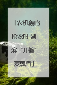 农机轰鸣抢农时 湖滨“开镰”麦飘香
