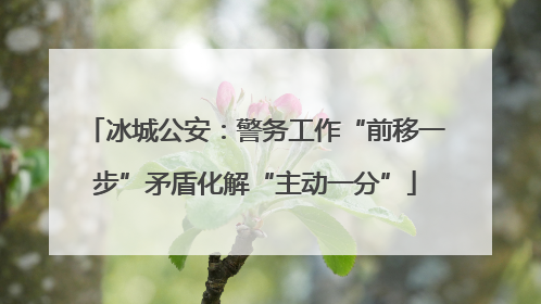 冰城公安：警务工作“前移一步”矛盾化解“主动一分”