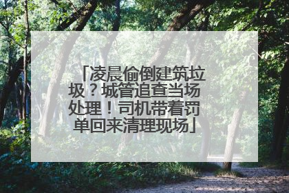 凌晨偷倒建筑垃圾？城管追查当场处理！司机带着罚单回来清理现场