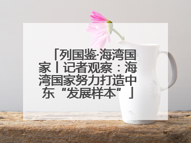 列国鉴·海湾国家丨记者观察：海湾国家努力打造中东“发展样本”